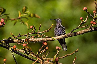 《Supernatural》七月登陆Steam 禁止尖叫类恐怖探索